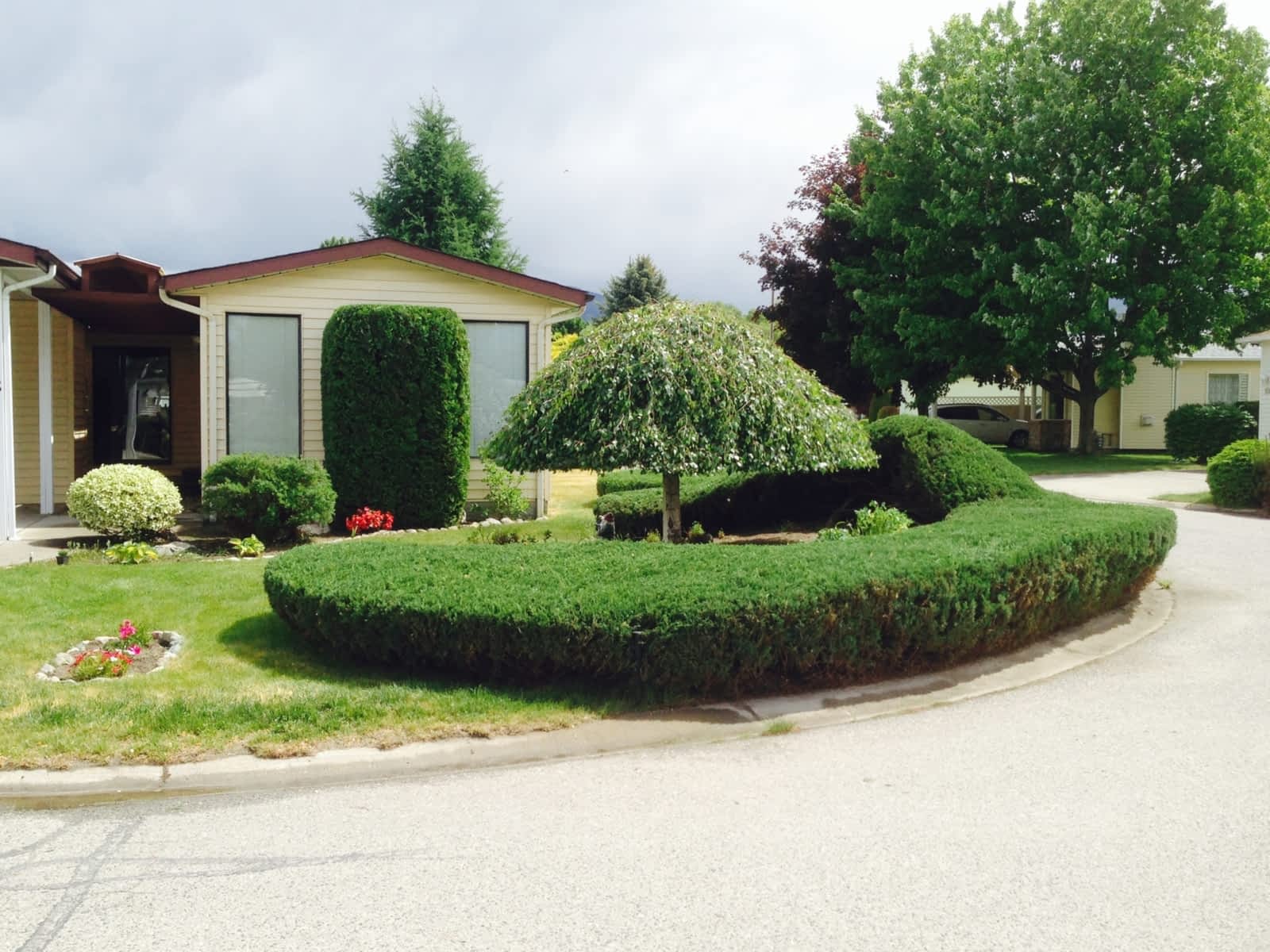 Shrub Trimming & Removal Erie Tree Trimmers